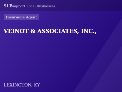 VEINOT & ASSOCIATES, INC., — Insurance Agent in LEXINGTON, KY