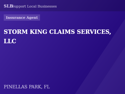 STORM KING CLAIMS SERVICES, LLC — Insurance Agent in PINELLAS PARK, FL