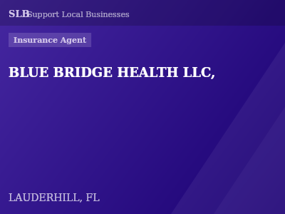BLUE BRIDGE HEALTH LLC, — Insurance Agent in LAUDERHILL, FL