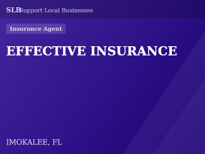 EFFECTIVE INSURANCE — Insurance Agent in IMOKALEE, FL