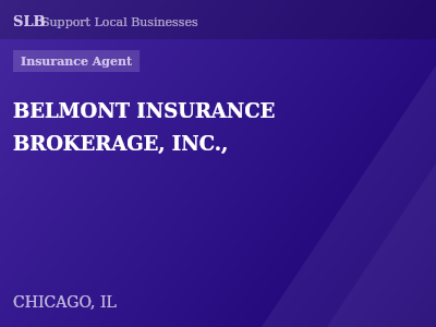 BELMONT INSURANCE BROKERAGE, INC., — Insurance Agent in CHICAGO, IL