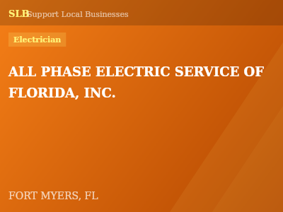 ALL PHASE ELECTRIC SERVICE OF FLORIDA, INC. — Electrician in FORT MYERS, FL