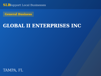 GLOBAL II ENTERPRISES INC — General Business in TAMPA, FL