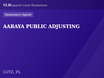 AARAYA PUBLIC ADJUSTING — Insurance Agent in LUTZ, FL