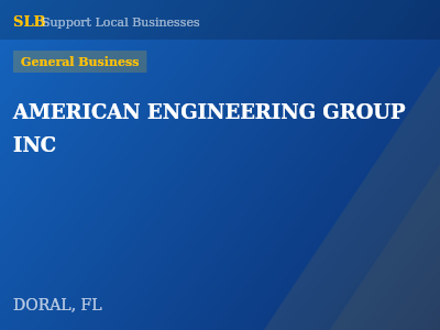 AMERICAN ENGINEERING GROUP INC — General Business in DORAL, FL