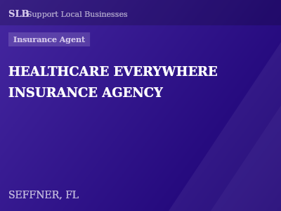 HEALTHCARE EVERYWHERE INSURANCE AGENCY — Insurance Agent in SEFFNER, FL