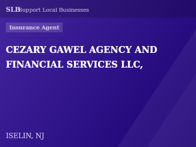 CEZARY GAWEL AGENCY AND FINANCIAL SERVICES LLC, — Insurance Agent in ISELIN, NJ