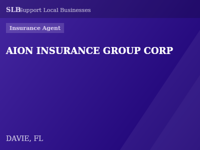 AION INSURANCE GROUP CORP — Insurance Agent in DAVIE, FL