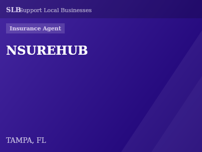 NSUREHUB — Insurance Agent in TAMPA, FL