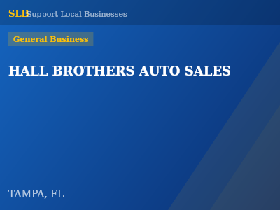 HALL BROTHERS AUTO SALES — General Business in TAMPA, FL