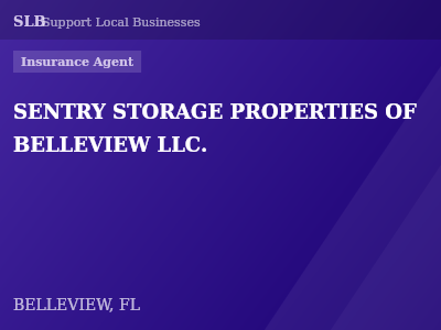 SENTRY STORAGE PROPERTIES OF BELLEVIEW LLC. — Insurance Agent in BELLEVIEW, FL