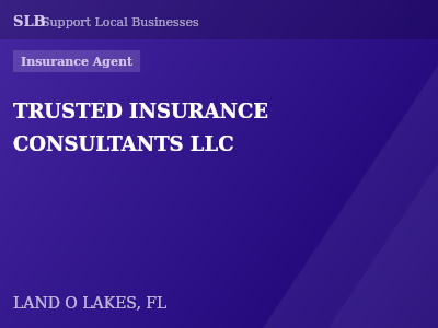 TRUSTED INSURANCE CONSULTANTS LLC — Insurance Agent in LAND O LAKES, FL
