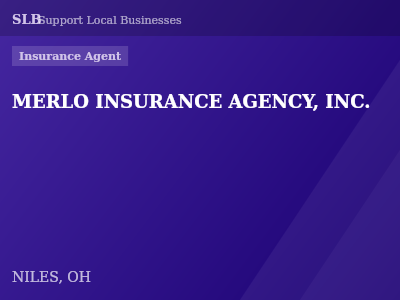 MERLO INSURANCE AGENCY, INC. — Insurance Agent in NILES, OH