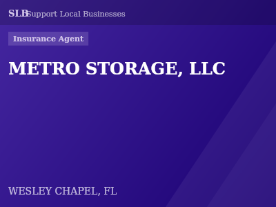 METRO STORAGE, LLC — Insurance Agent in WESLEY CHAPEL, FL