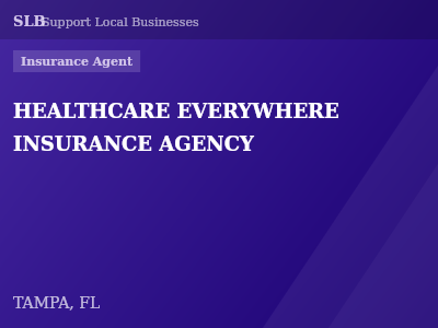 HEALTHCARE EVERYWHERE INSURANCE AGENCY — Insurance Agent in TAMPA, FL
