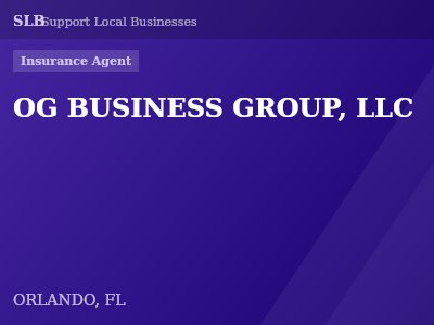 OG BUSINESS GROUP, LLC — Insurance Agent in ORLANDO, FL