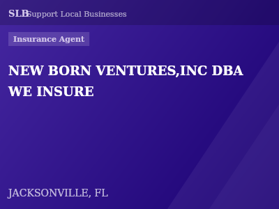 NEW BORN VENTURES,INC DBA WE INSURE — Insurance Agent in JACKSONVILLE, FL