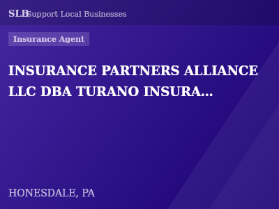 INSURANCE PARTNERS ALLIANCE LLC DBA TURANO INSURANCE DBA POPE INSURANCE DBA WEIGNER INSURANCE DBA MANCI INSURANCE DBA LANDIS INSURANCE SERVICES DBA WISWALL INSURANCE DBA IPA INSURANCE — Insurance Agent in HONESDALE, PA