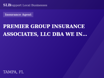 PREMIER GROUP INSURANCE ASSOCIATES, LLC DBA WE INSURE — Insurance Agent in TAMPA, FL