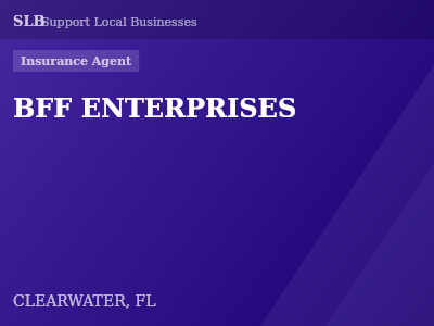 BFF ENTERPRISES — Insurance Agent in CLEARWATER, FL