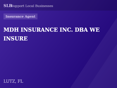 MDH INSURANCE INC. DBA WE INSURE — Insurance Agent in LUTZ, FL