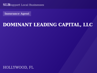 DOMINANT LEADING CAPITAL, LLC — Insurance Agent in HOLLYWOOD, FL