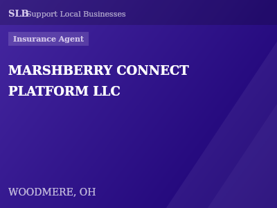 MARSHBERRY CONNECT PLATFORM LLC — Insurance Agent in WOODMERE, OH