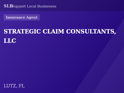 STRATEGIC CLAIM CONSULTANTS, LLC — Insurance Agent in LUTZ, FL