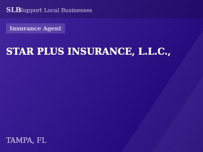 STAR PLUS INSURANCE, L.L.C., — Insurance Agent in TAMPA, FL