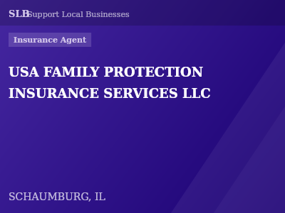 USA FAMILY PROTECTION INSURANCE SERVICES LLC — Insurance Agent in SCHAUMBURG, IL