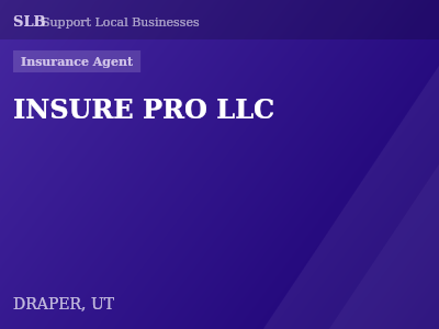 INSURE PRO LLC — Insurance Agent in DRAPER, UT