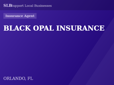 BLACK OPAL INSURANCE — Insurance Agent in ORLANDO, FL
