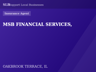MSB FINANCIAL SERVICES, — Insurance Agent in OAKBROOK TERRACE, IL