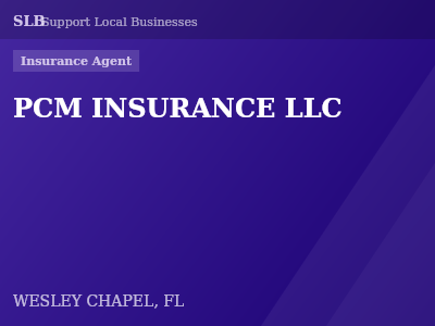 PCM INSURANCE LLC — Insurance Agent in WESLEY CHAPEL, FL