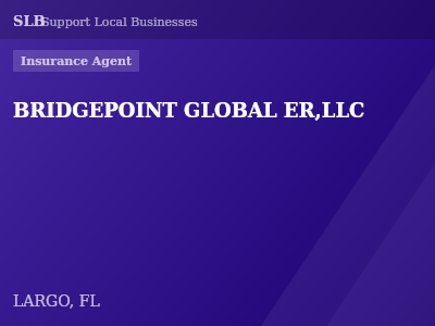 BRIDGEPOINT GLOBAL ER,LLC — Insurance Agent in LARGO, FL