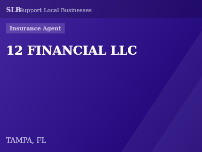 12 FINANCIAL LLC — Insurance Agent in TAMPA, FL