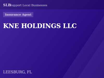 KNE HOLDINGS LLC — Insurance Agent in LEESBURG, FL