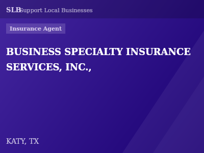 BUSINESS SPECIALTY INSURANCE SERVICES, INC., — Insurance Agent in KATY, TX