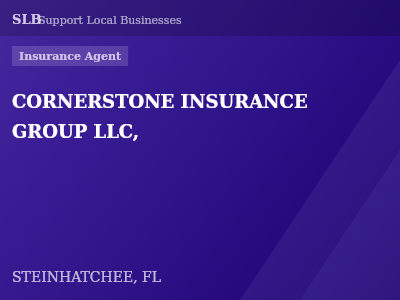 CORNERSTONE INSURANCE GROUP LLC, — Insurance Agent in STEINHATCHEE, FL