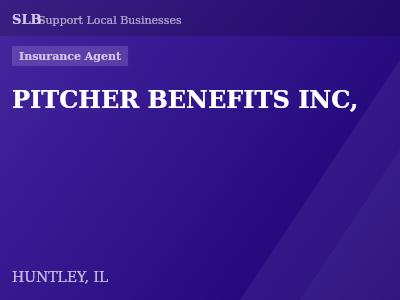 PITCHER BENEFITS INC, — Insurance Agent in HUNTLEY, IL