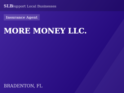 MORE MONEY LLC. — Insurance Agent in BRADENTON, FL
