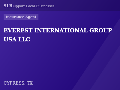 EVEREST INTERNATIONAL GROUP USA LLC — Insurance Agent in CYPRESS, TX