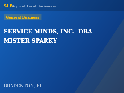 SERVICE MINDS, INC.  DBA  MISTER SPARKY — General Business in BRADENTON, FL