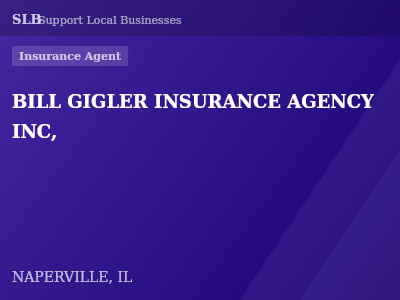 BILL GIGLER INSURANCE AGENCY INC, — Insurance Agent in NAPERVILLE, IL