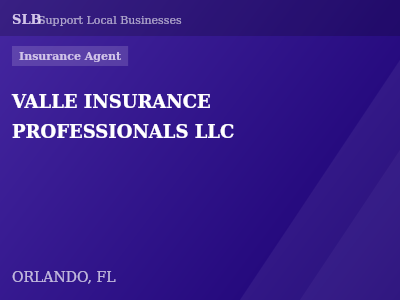 VALLE INSURANCE PROFESSIONALS LLC — Insurance Agent in ORLANDO, FL