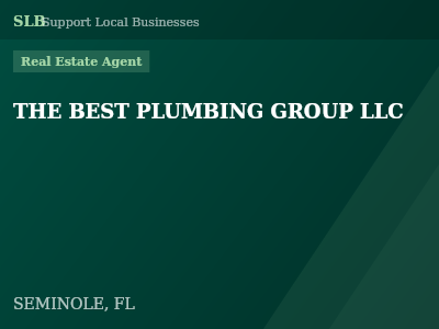 THE BEST PLUMBING GROUP LLC — Real Estate Agent in SEMINOLE, FL