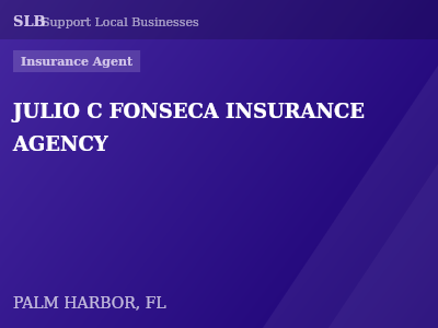 JULIO C FONSECA INSURANCE AGENCY — Insurance Agent in PALM HARBOR, FL