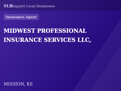 MIDWEST PROFESSIONAL INSURANCE SERVICES LLC, — Insurance Agent in MISSION, KS
