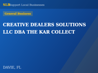CREATIVE DEALERS SOLUTIONS LLC DBA THE KAR COLLECT — General Business in DAVIE, FL