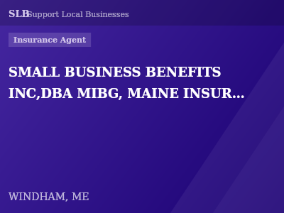 SMALL BUSINESS BENEFITS INC,DBA MIBG, MAINE INSURANCE BENEFITS GROUP, MIS, MAINE INSURANCE SOLUTIONS — Insurance Agent in WINDHAM, ME